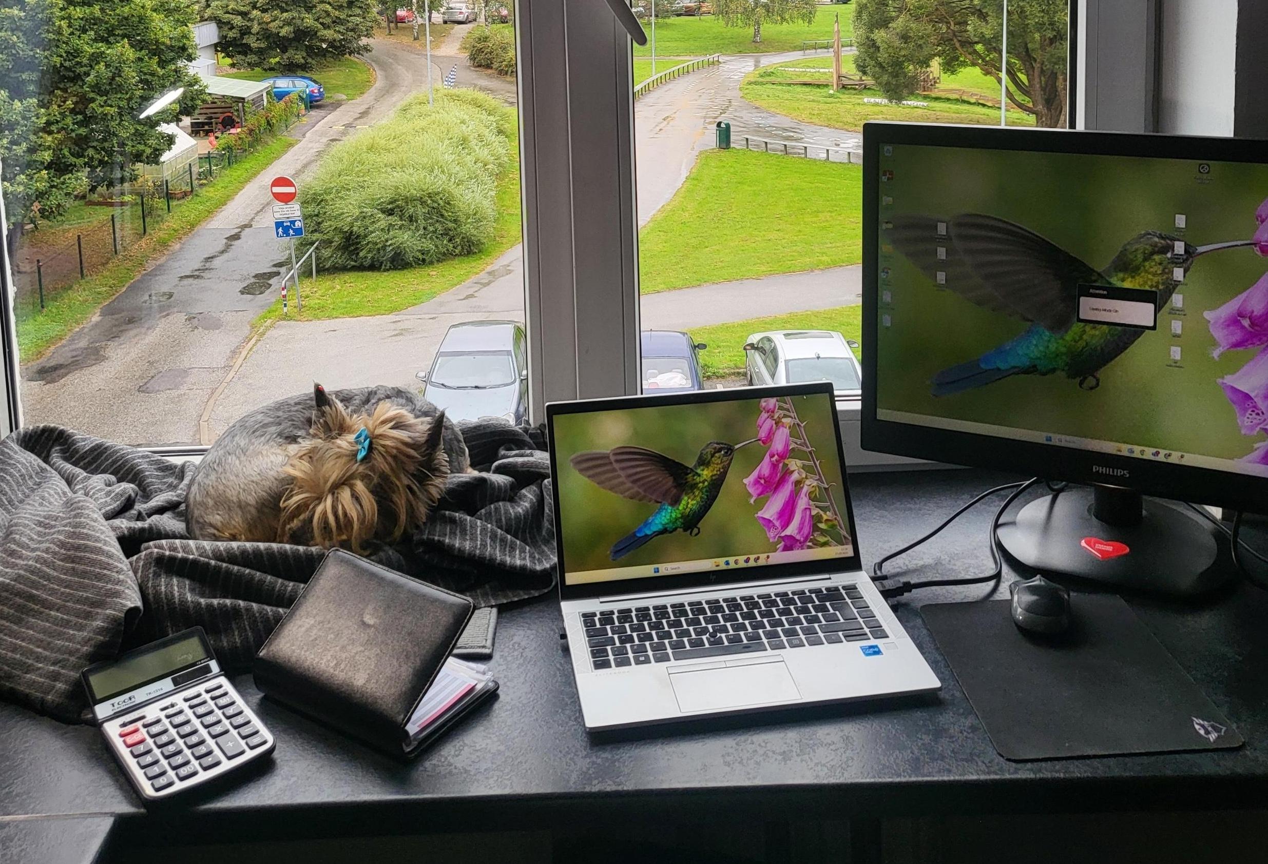 Kuidas Plume mu köögikontori päriselt internetiga ühendas    