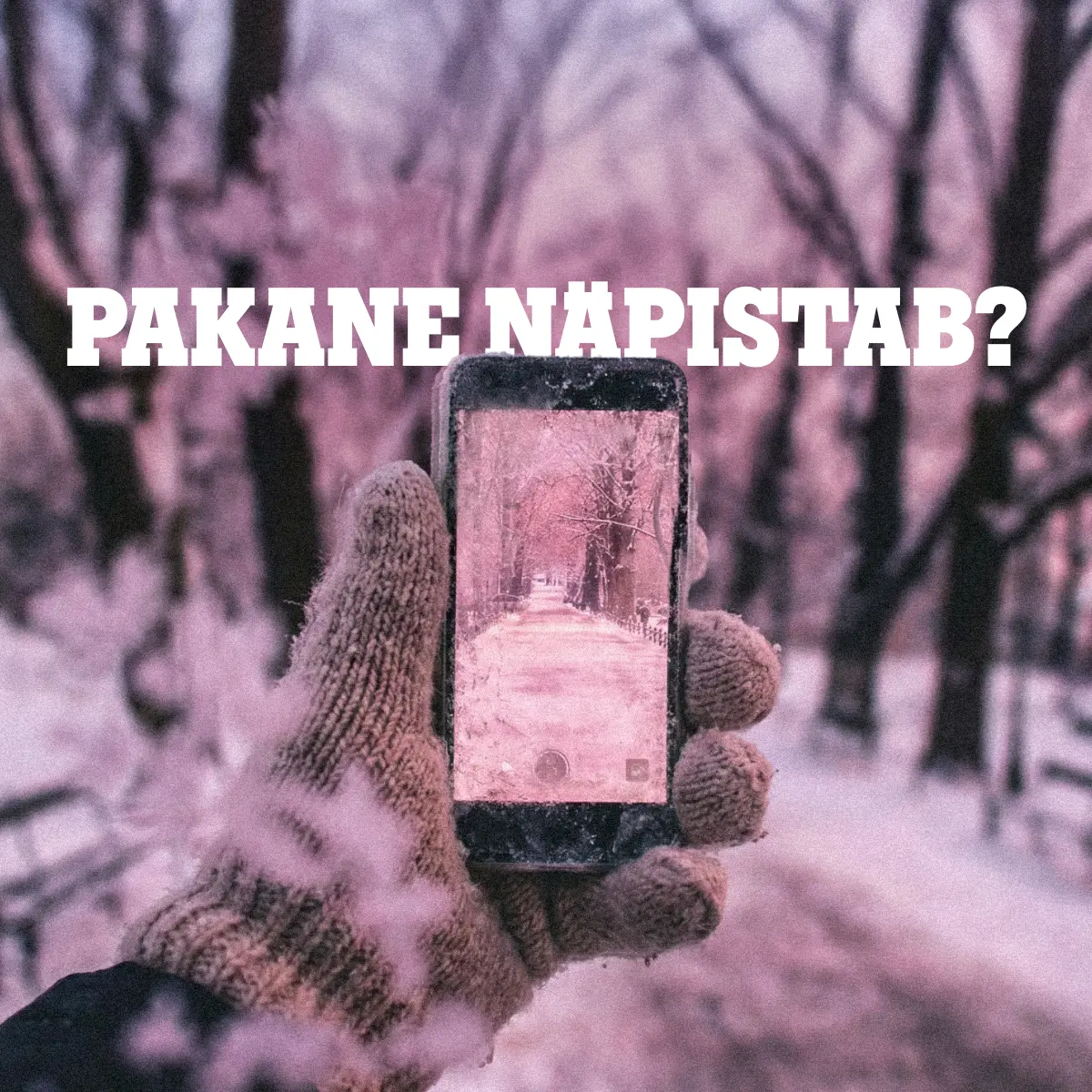 pakane napistab