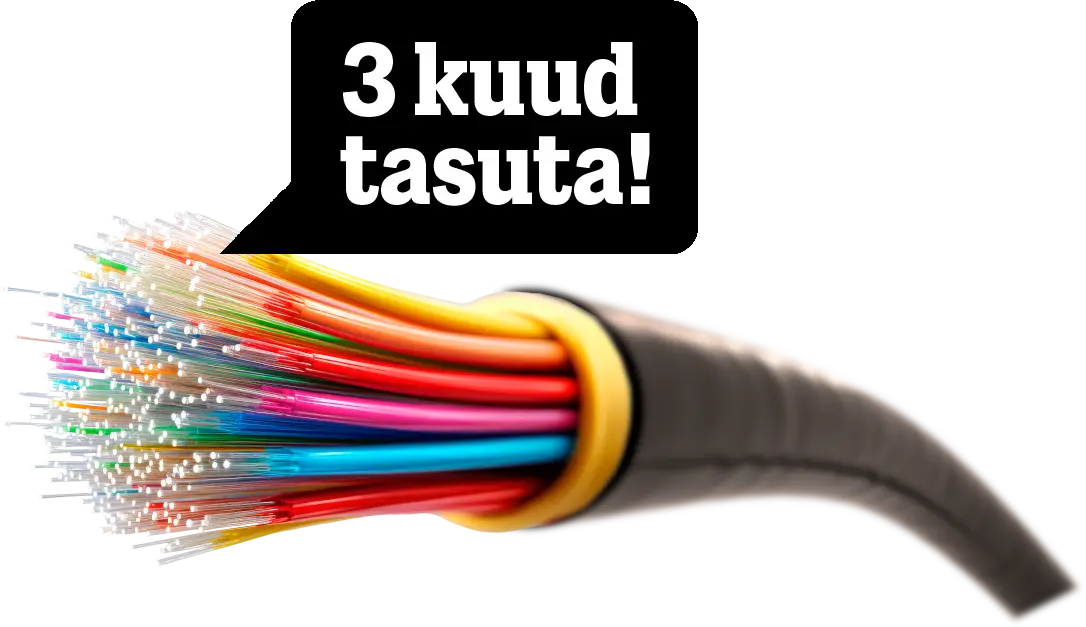 Internet valguskaabliga 3 kuud tasuta