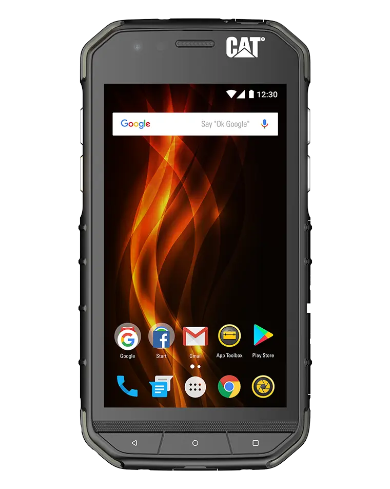 CAT S31