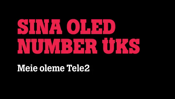 Br_nd_1 Brändi visuaal